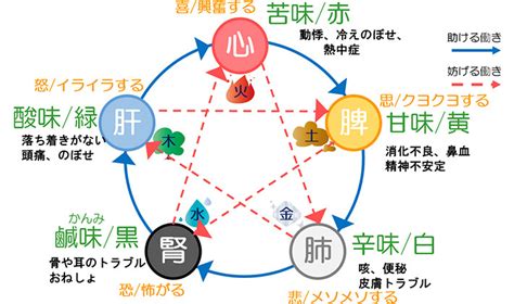 鼻 五行|【東洋医学における肺について】肺と五行との関係性。